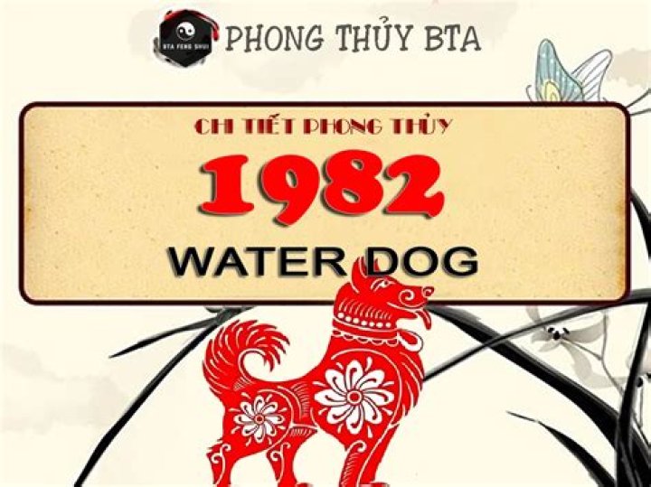 Chinese Astrology 1982: Unveiling the Secrets of the Water Dog