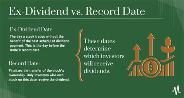 Discover MSTY's Next Dividend Date and Stay Informed