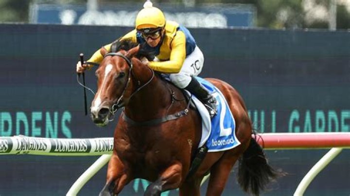 Discovering Claire Anne Stroll: The Rising Star in the Racing World