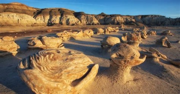 Discovering Guanajuato Bakery on Belknap: A Culinary Gem in Your Neighborhood