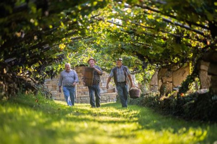 Discovering Williams Inn: A Hidden Gem for Travelers