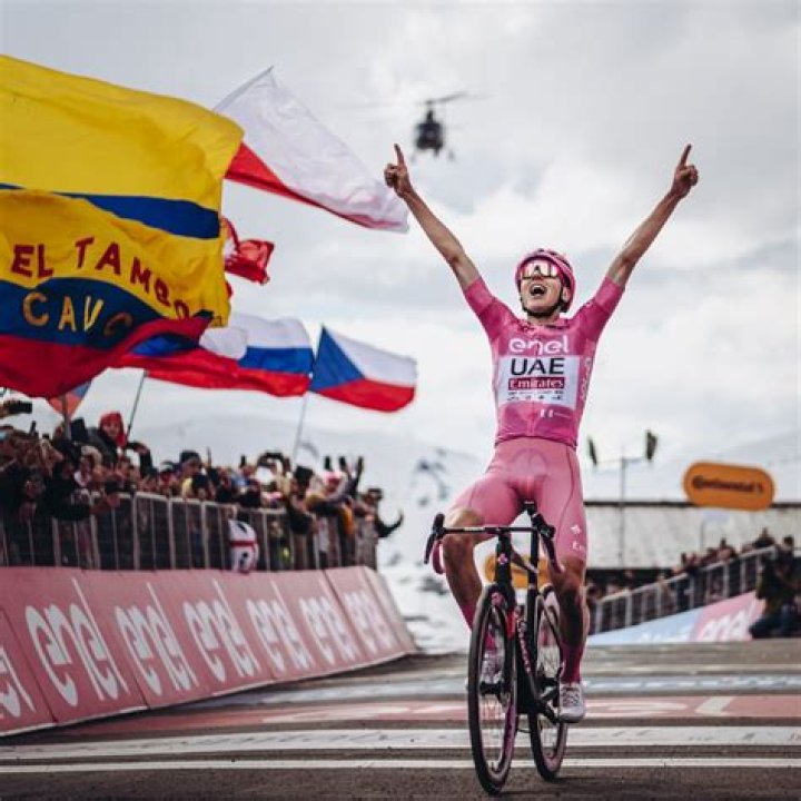 Experience David Angelo's Unforgettable Tour 2024