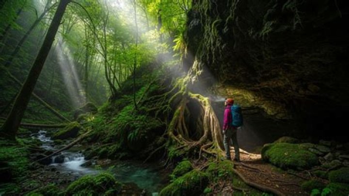 Exploring Huega House: A Hidden Gem in the Heart of Nature