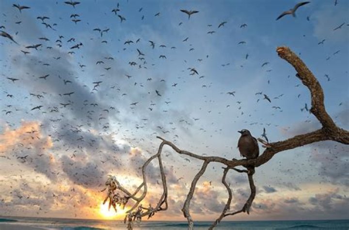 Exploring the Photographers Corner: A Haven for Photography Enthusiasts