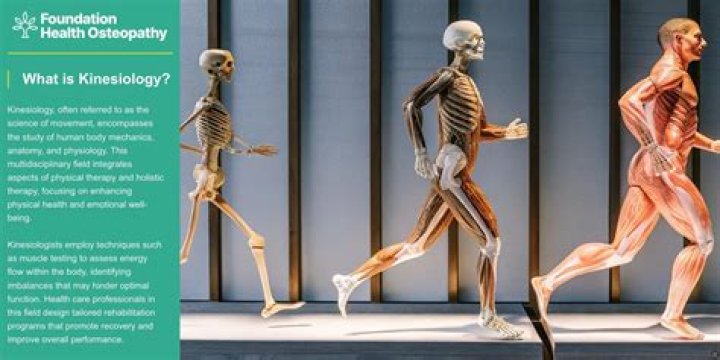 Foundations of Scientific Writing for Kinesiology: Free PDF Guide