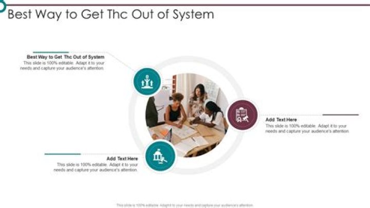 How to Get THC Out of Your System Quickly and Effectively