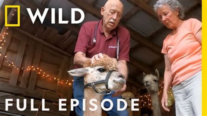 Is Dr. Pol Still Alive? Everything You Need to Know About the Beloved Veterinarian