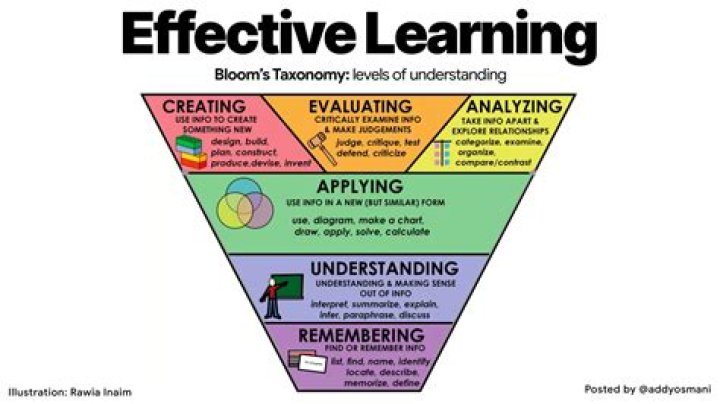 Kytysa: The Ultimate Guide to Understanding and Utilizing This Emerging Trend