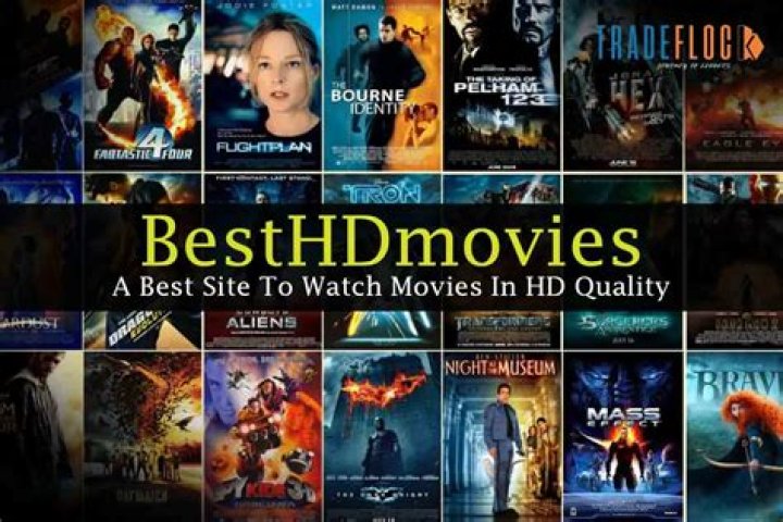 MKVMoviesPoint: Your Ultimate Destination for All Quality Movies Download in Hindi