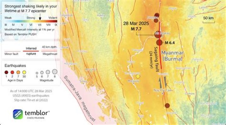 Palantir Layoffs: The Latest News and Updates