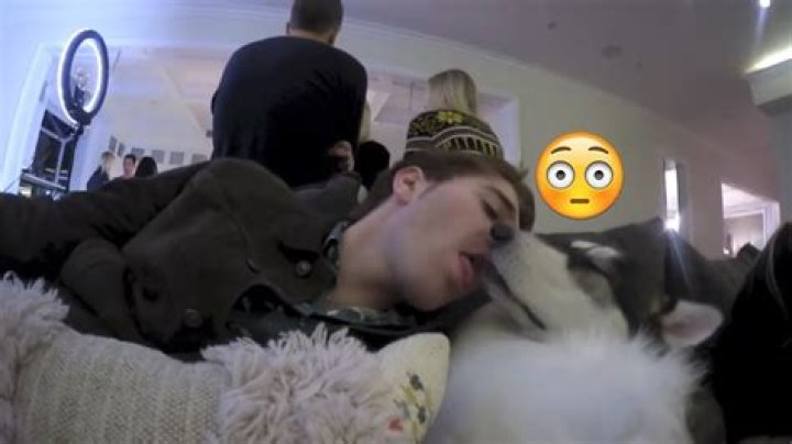 Shane Dawson Animals: Exploring the Star's Fascinating Journey with Wildlife
