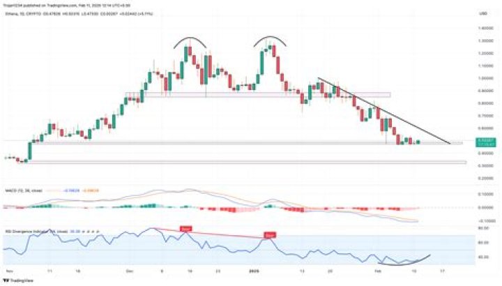 The Ultimate Guide to Ethena Price Prediction: Forecasts and Analyses