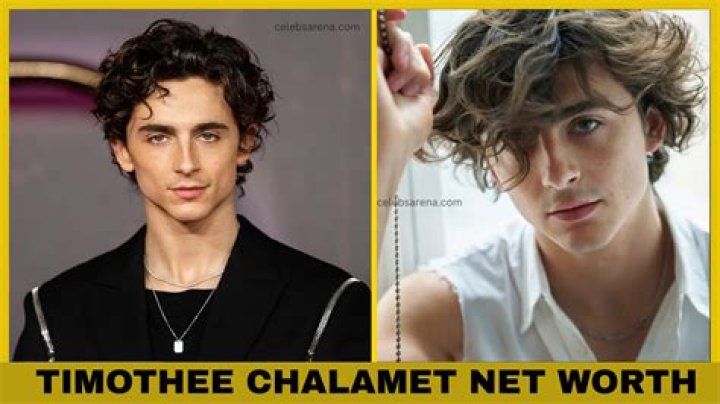 Timothée Chalamet Net Worth: A Comprehensive Look at His Wealth and Career