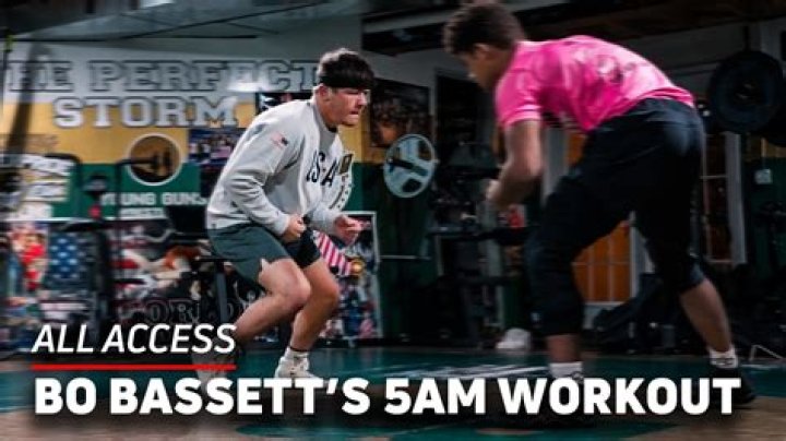 Understanding Bo Basset Weight: A Comprehensive Guide