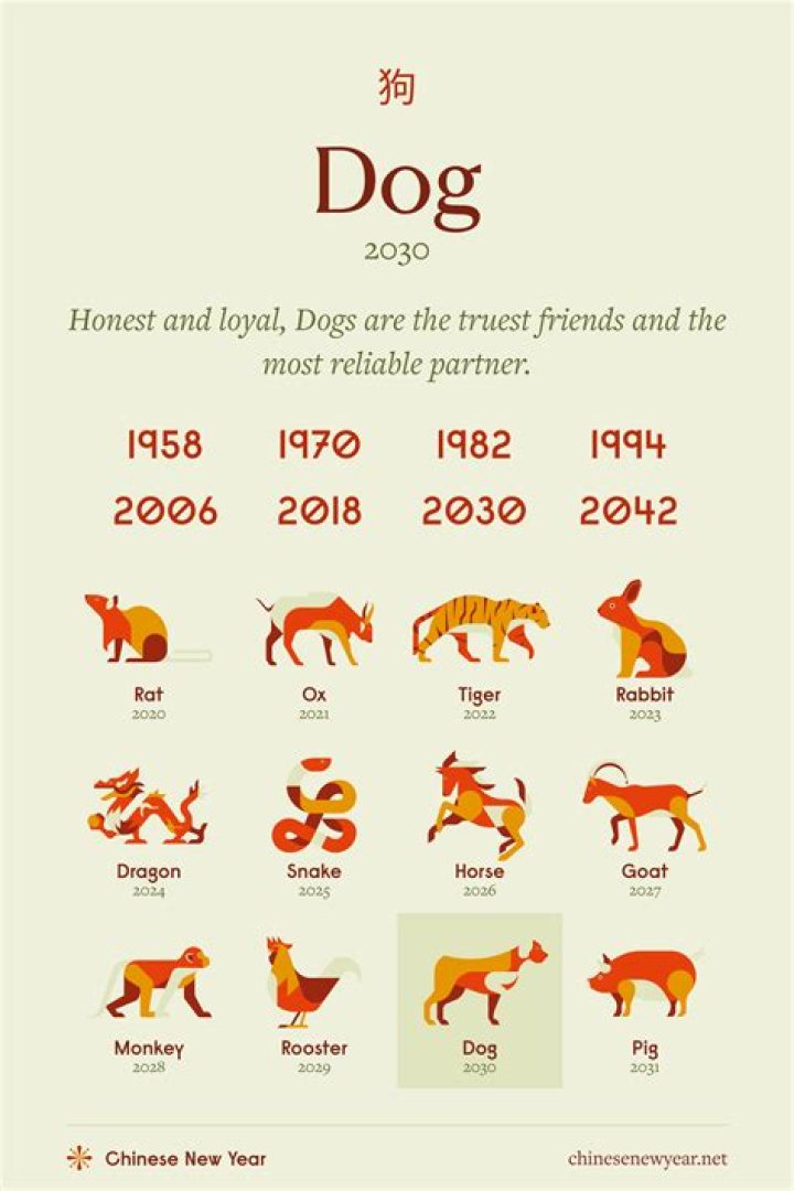 Understanding the Chinese Zodiac Sign 1982: The Year of the Dog