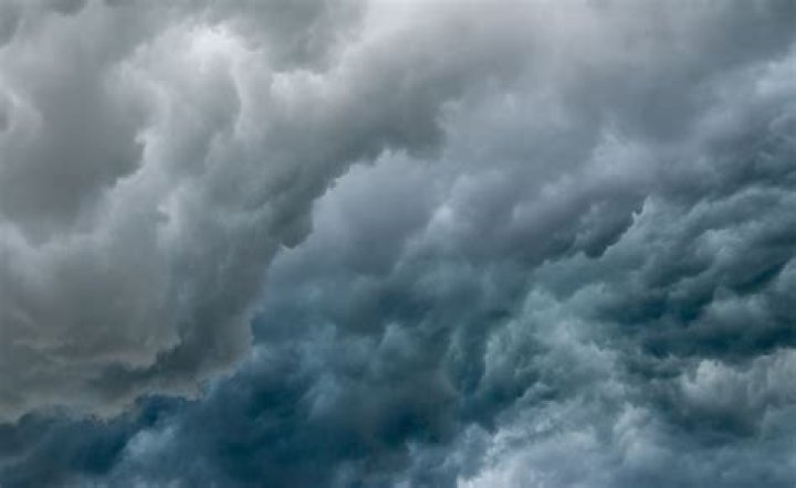 Understanding the Phenomenon of Jackerman Video: A Comprehensive Exploration