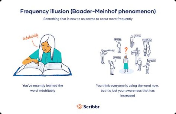 Understanding the Phenomenon of 