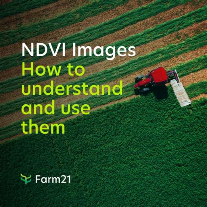 Understanding the Significance of 5184575434: A Comprehensive Guide