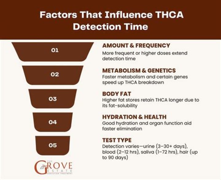 Unveiling the Effects: Can THCa Influence Drug Test Results?