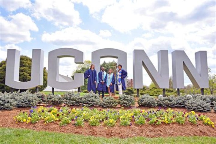Unveiling the Journey of Matt Freeman at UConn