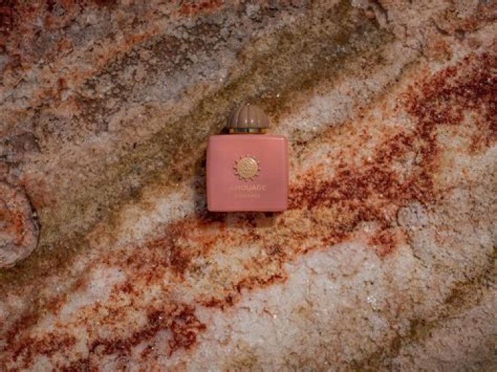 Unveiling the Wealth of Scott Caan: A Deep Dive into His Net Worth